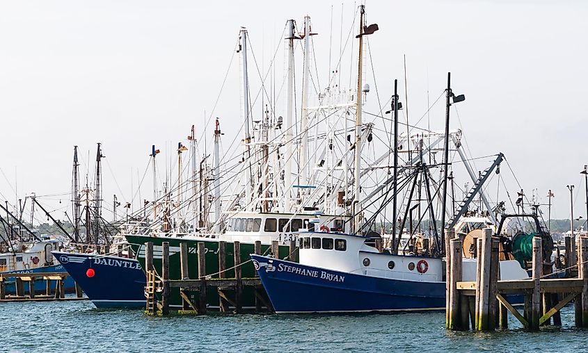 Many commercial fishing boats docked in Point Judith in Narragansett, Rhode Island.