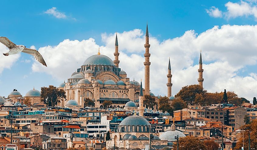 The Hagia Sophia, with Constantinople skyline.