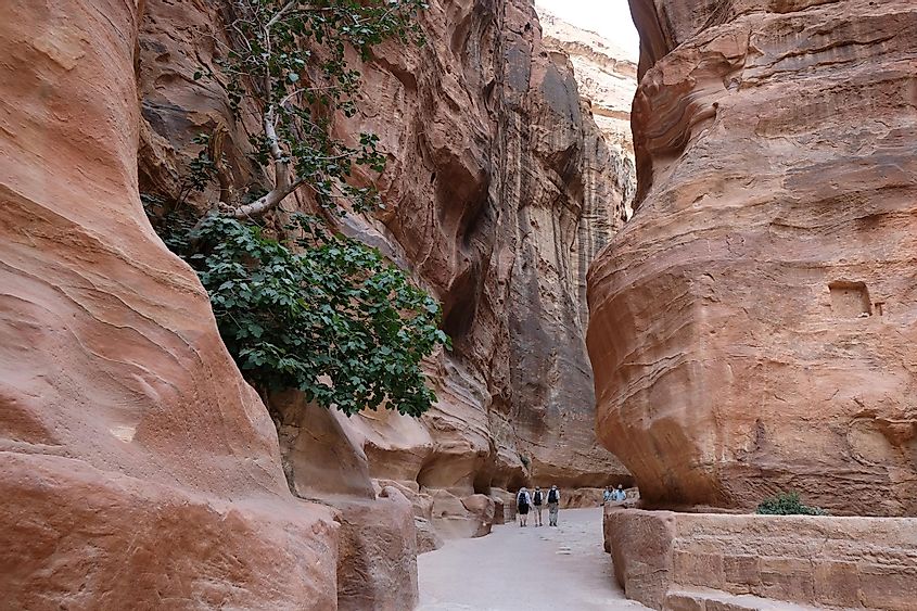 People in gorge al-Siq in Petra, Jordan
