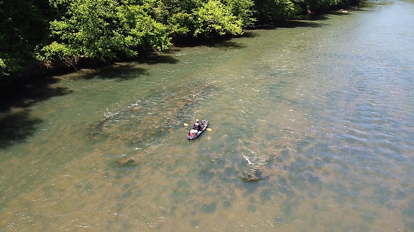 Etowah river