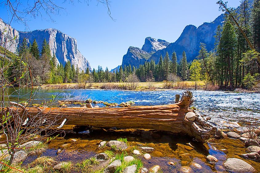 Yosemite Valley with El Capitan and Half Dome reflected in the Merced River, California.