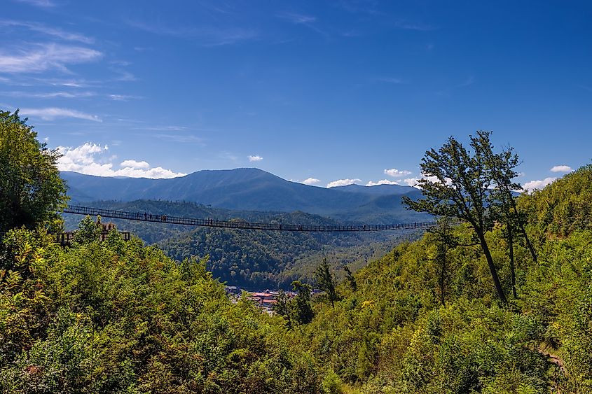 View from a trail at SkyPark, Gatlinburg, Tennessee. 