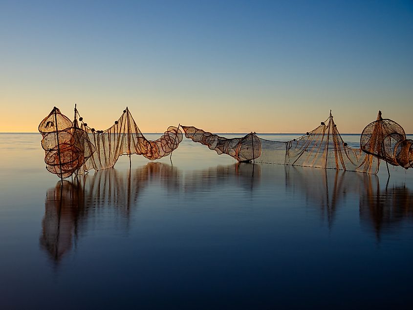 Fishing net on the calm waters of a sunrise in the Ebro delta, Catalonia, Spain. Credit: ancoay / Shutterstock