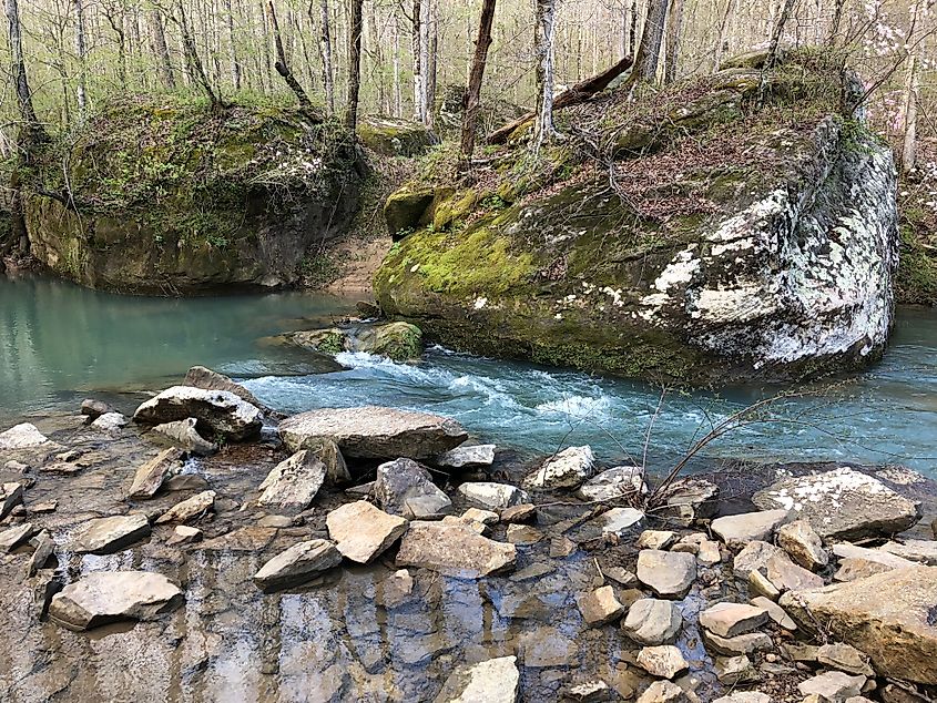 Sipsey River flowing through the Sipsey Wilderness in Alabama.