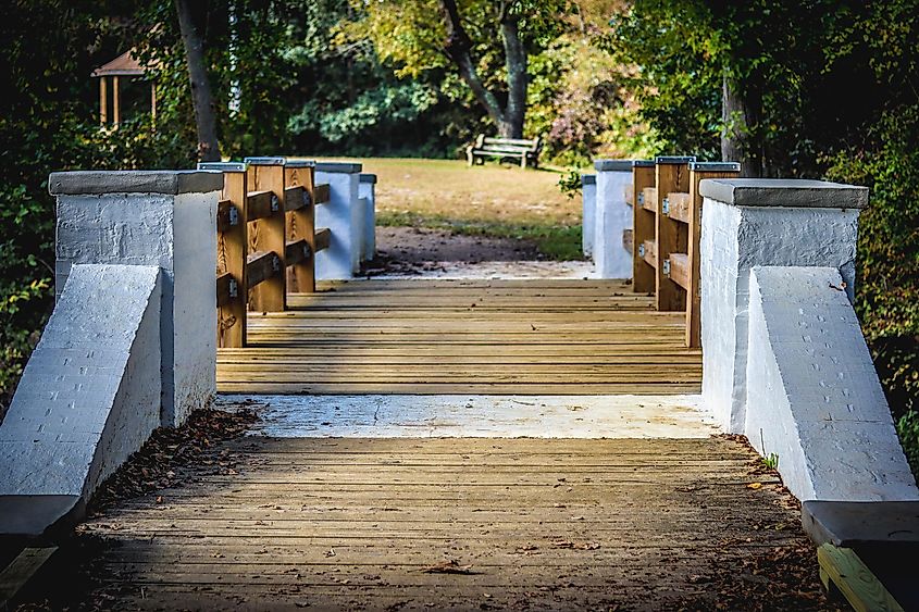 Parvin's State Park in Pittsgrove, New Jersey.