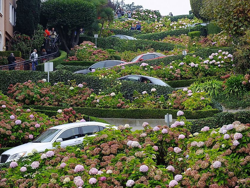 Lombard Street, San Francisco