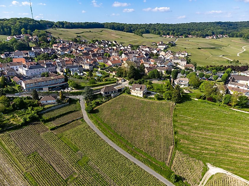 Panoramic aerial view of green premier cru grapes, champagne vineyards near the village of Hautvillers and the Marne river valley, Champagne, France.