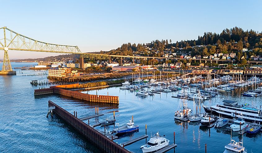 Yachts, ships and fishing boats berthed at West Mooring Basin Marina next to the iconic Astoria Megler Bridge, commercial buildings, and homes on the coast hillside.