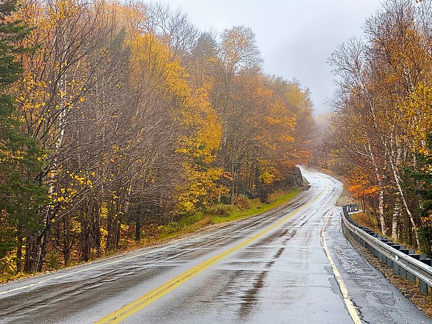 A misty October day on Highway 26 through Grafton Notch State Park, Newry, Maine
