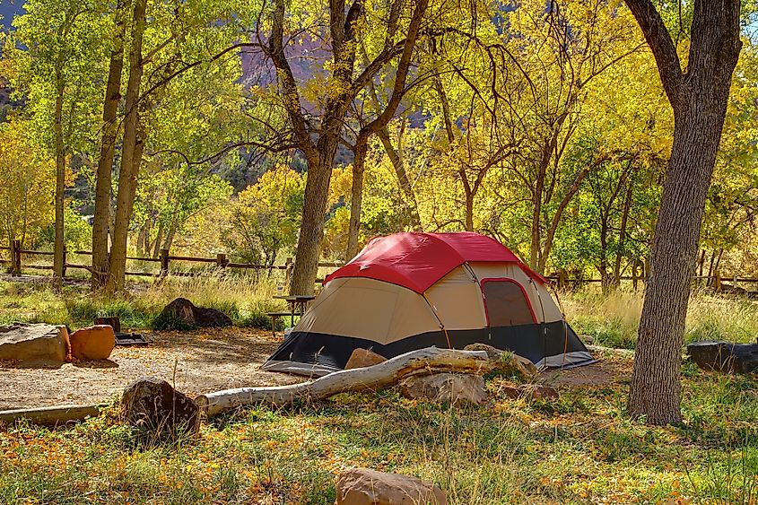 Watchman Campground