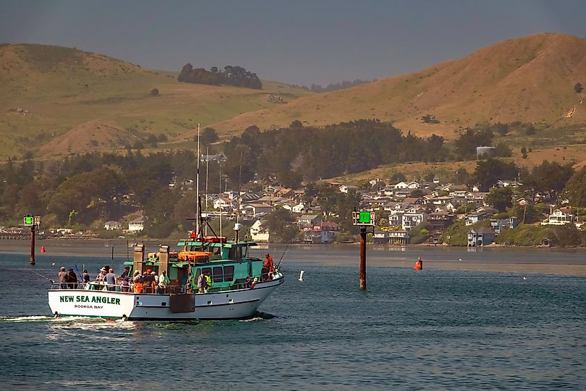 Anglers aboard a large charter fishing boat return to town in Bodega Bay, California.