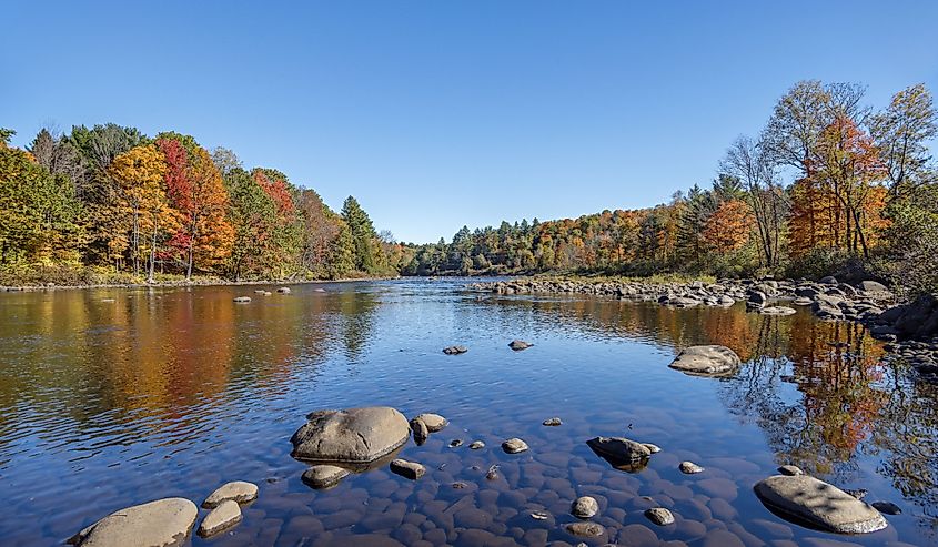 Fall foliage along the upper Hudson River near North Creek in the New York Adirondack Mountain Park.