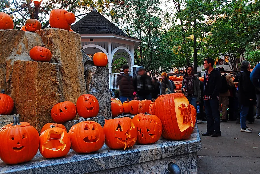 Pumpkins on display in Keene, New Hampshire