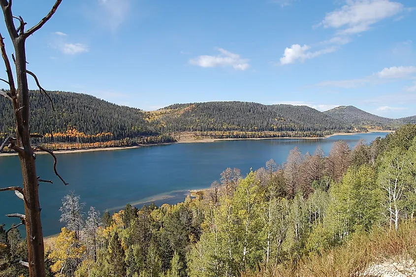 A view of Navajo Lake, Utah