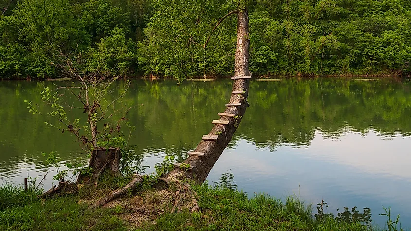A tree swing over a river in Hardy, Arkansas