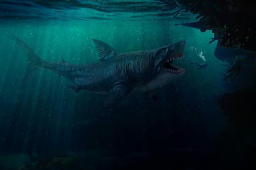 Ancient evil megalodon with open mouth full of sharp teeth.
