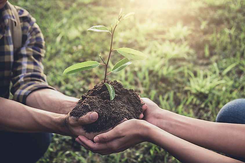 Everything on this planet, including us, depends on a stable ecosystem, which means healthy reproducing plants and animals.