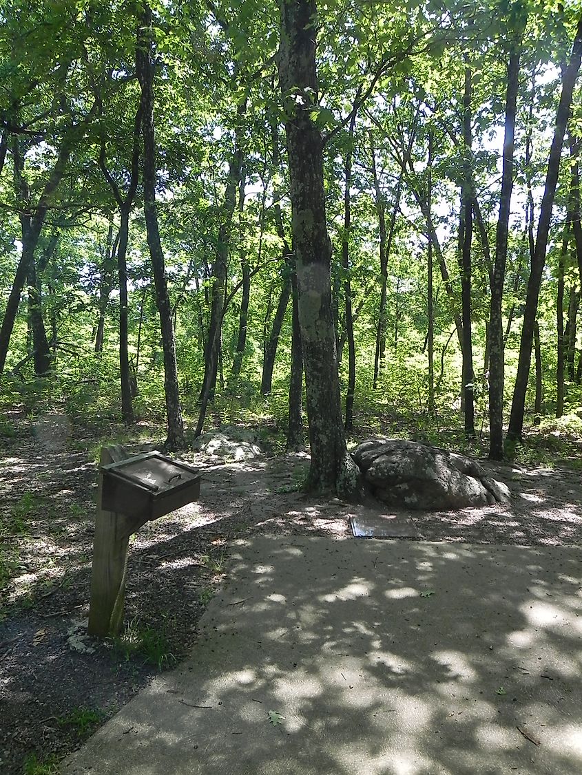 Taum Sauk summit, the highest point in Missouri.