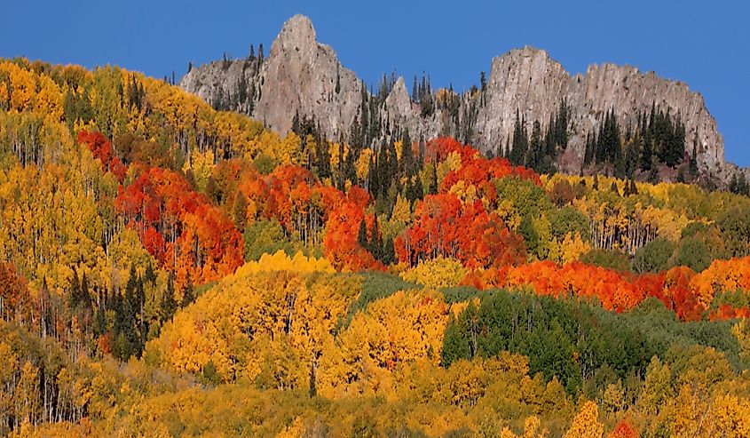 Kebler Pass in the Gunnison National Forest, Colorado