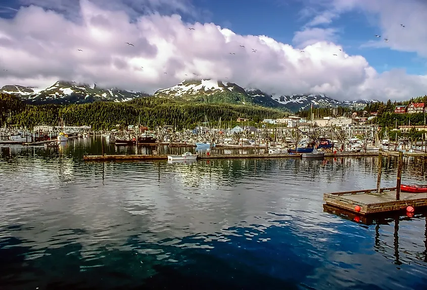 Boats in the harbor in Cordova, Alaska.