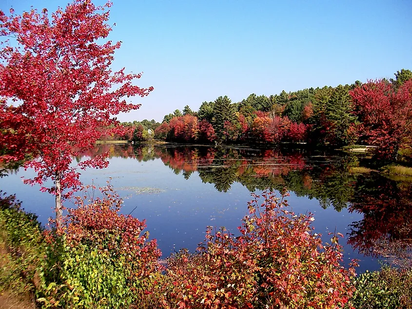 new england autumnscape