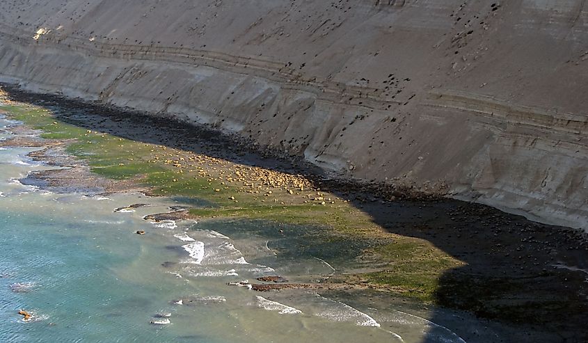 Punta del Marques nature reserve, a touristic landmark in Chubut, Patagonia, Argentina