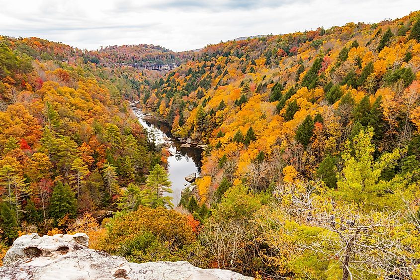 View from Lilly Bluff Overlook at Obed Wild and Scenic River