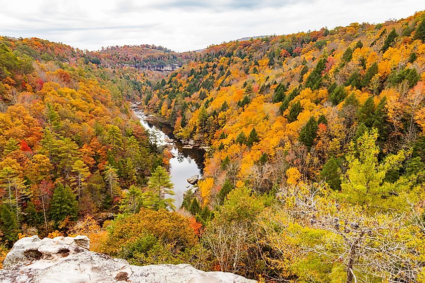 View from Lilly Bluff Overlook at Obed Wild and Scenic River