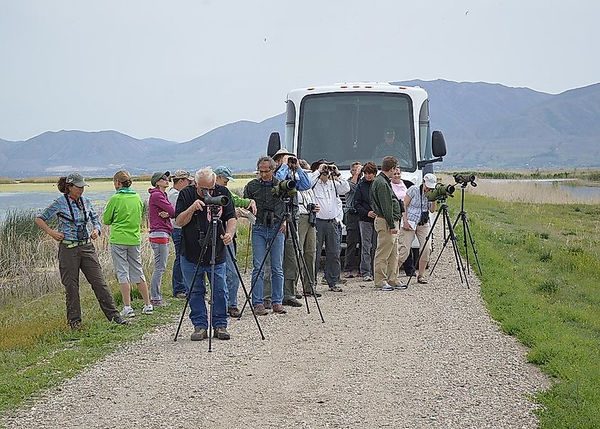 Adult field trip taken at Bear River Refuge during the Great Salt Lake Bird Festival.