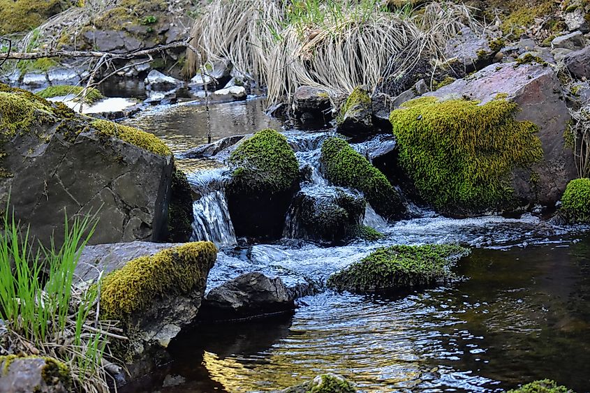 Anderson Creek, Booneville, California
