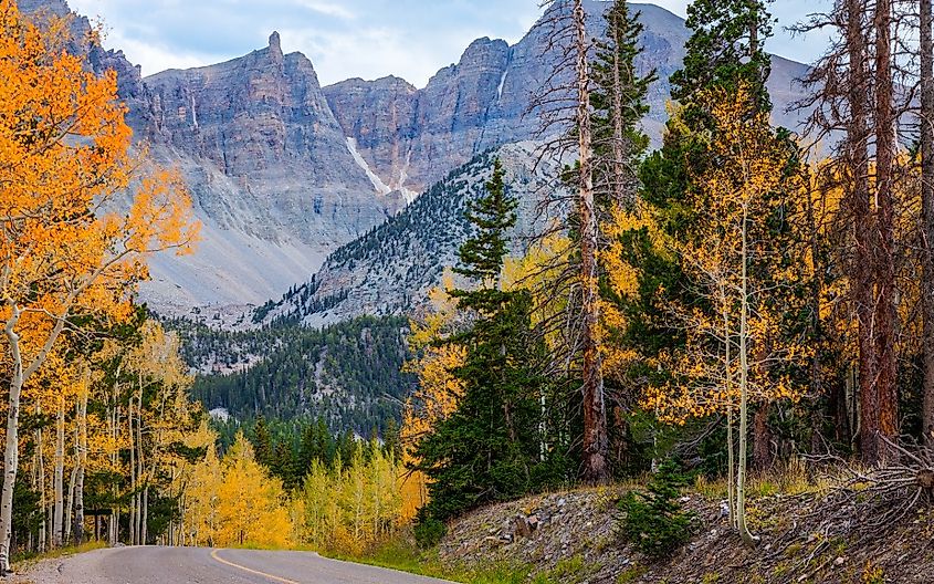 Wheeler Peak, at over 13,000 feet in elevation, is an overwhelming sight in this highly scenic Great Basin National Park in Nevada.