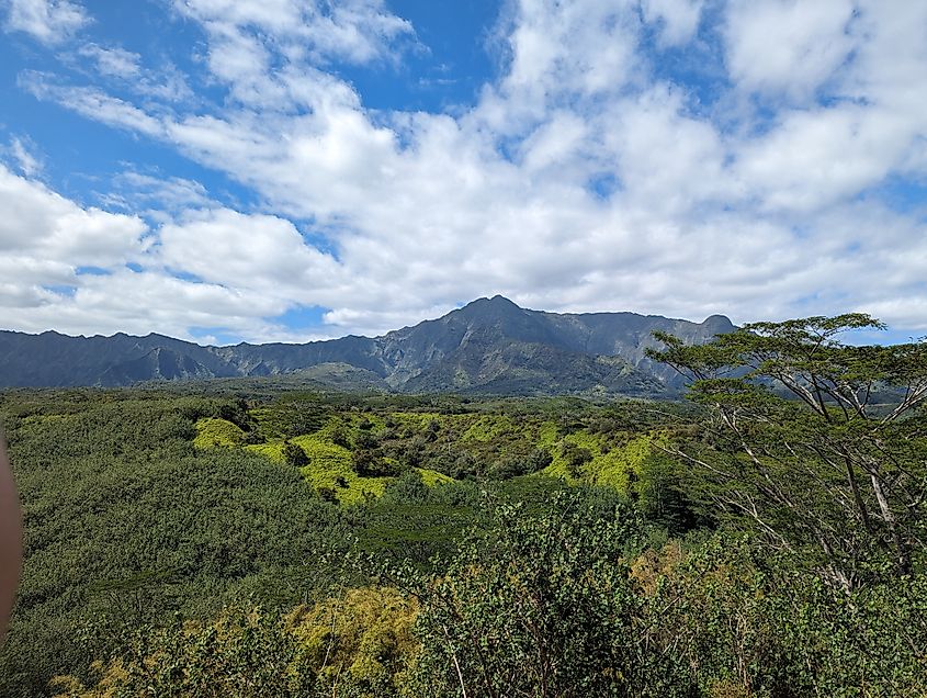 Mount Waialeale from a hidden viewpoint.
