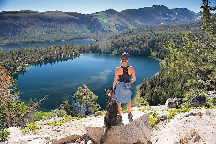 A girl and her dog stand above a beautiful high alpine lake on a sunny summer day in Mammoth, California