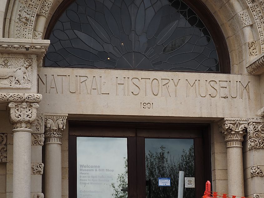 Natural History Museum, Kansas