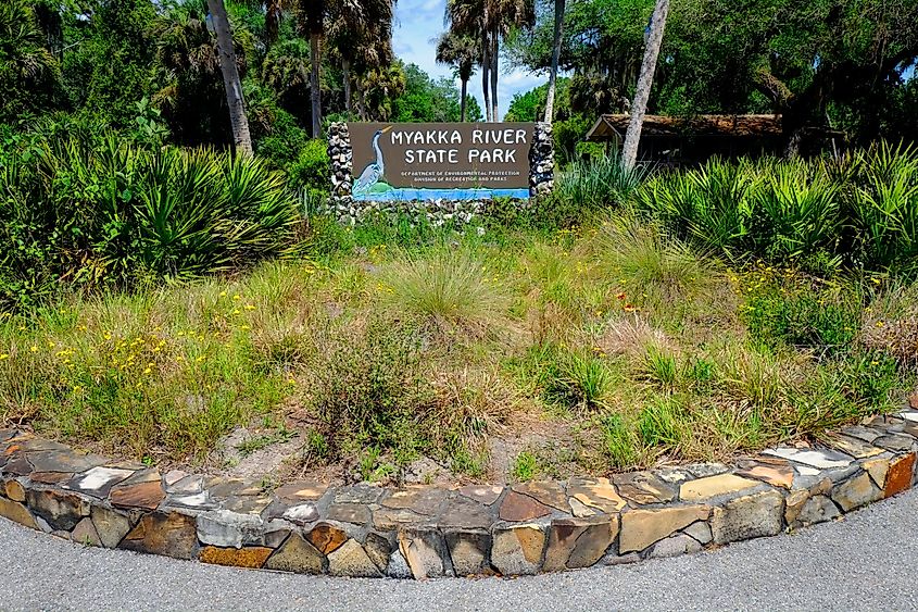 Myakka River State Park, Sarasota, Florida.
