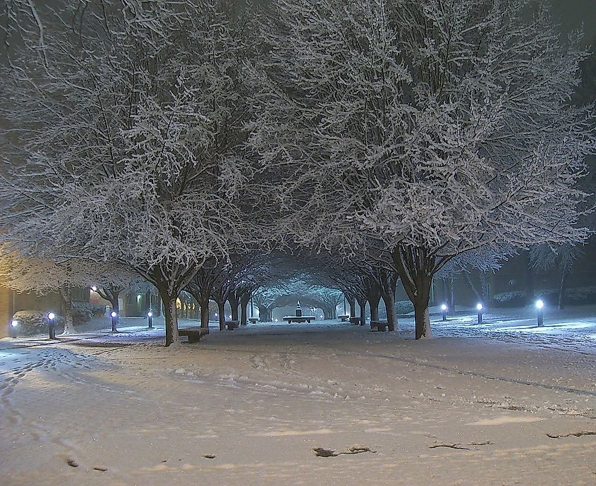 A winter scene in Newberry, South Carolina.