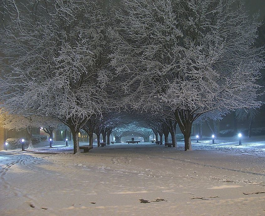 Bachman Court, Newberry College