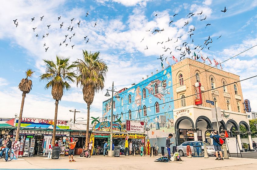 Big mural in the Ocean Front Walk in Venice Beach, via View Apart / Shutterstock.com