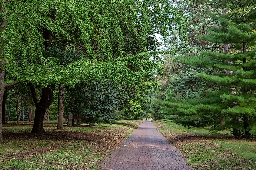 Brick paths at the Arbor Lodge, Nebraska