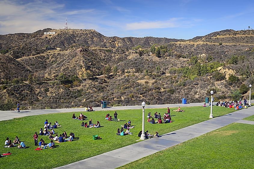 Students picnic at Griffith Park.