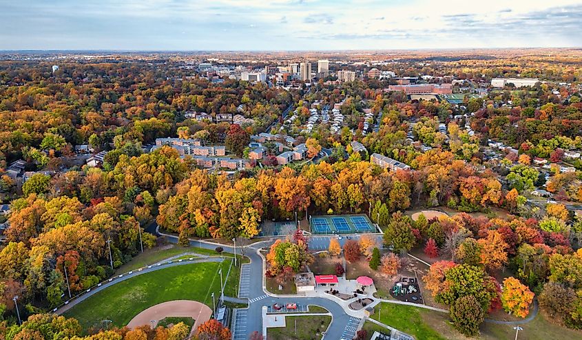 Fall colors in Rockville, Maryland