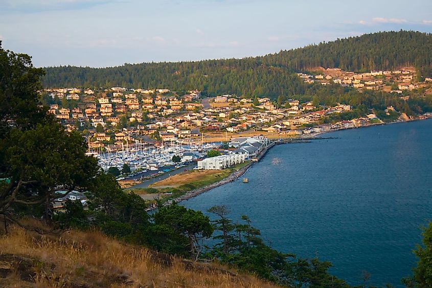 A view of the Anacortes Island Marina