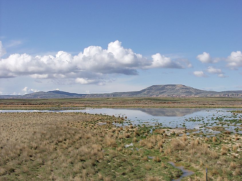 A seasonal wetland in the Red Desert in Wyoming.
