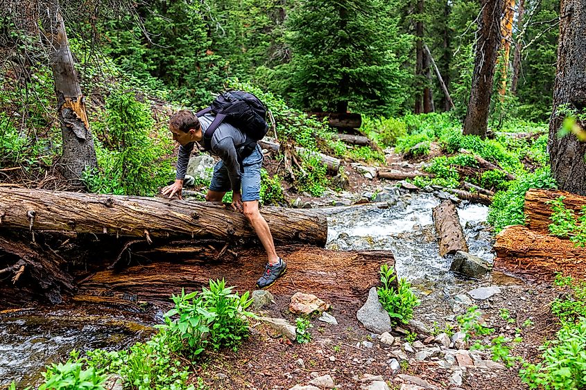 Conundrum Creek Trail in the White River National Forest of Aspen, Colorado