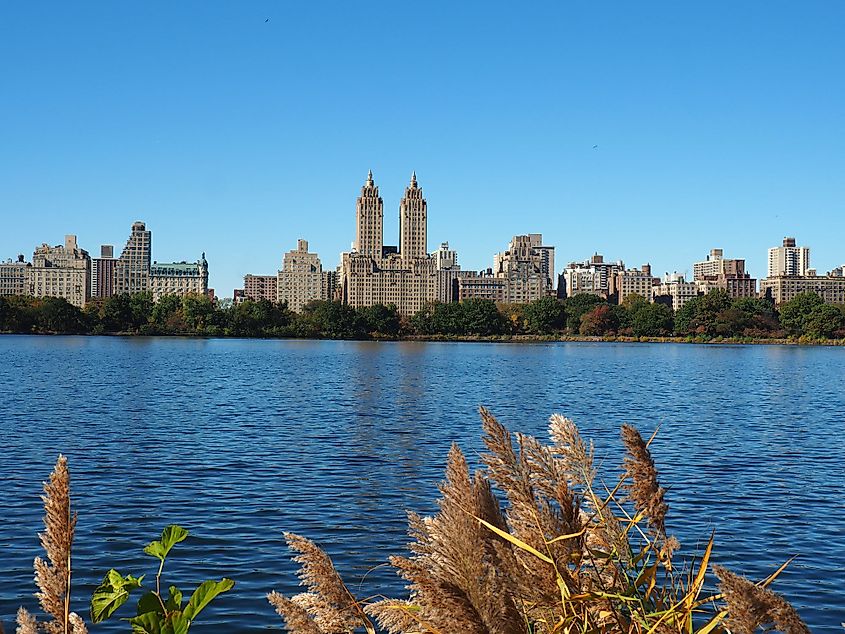 Central Park, New York City