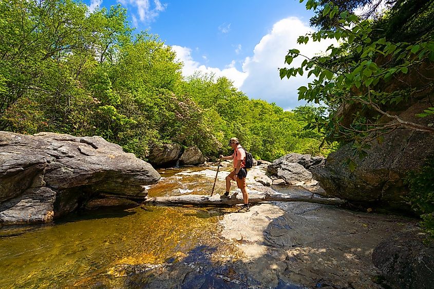 Man with backpack hiking in in the forest by the river on summer trip.