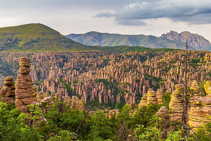 Chiricahua National Monument, Arizona.