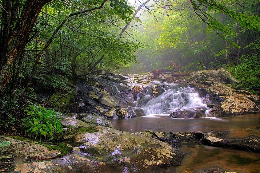 Waterfalls in white oak canyon in Shenandoah national park near Front Royal, Virginia on a rainy spring day