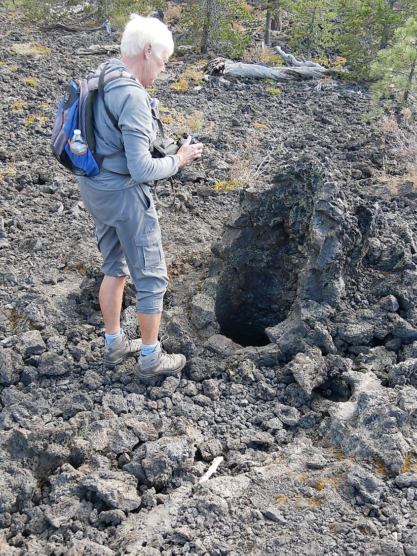 Lava molds of ancient tree trunks.