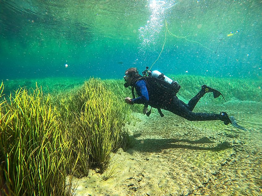 A scuba diver in the Rainbow River in Dunnellon, Florida.